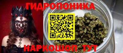 трава Абакан