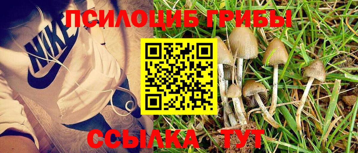 магазин    Галлюциногенные грибы MAGIC MUSHROOMS  Вход с VPN  Псилоцибиновые грибы прущие грибы  Алексеевка 